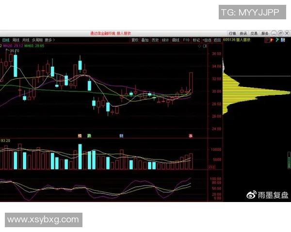 杭州足球队与重庆足球队赛后技术分析与战术探讨 杭州足球队与重庆足球队赛后技术分析与战术探讨