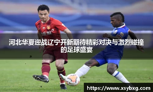 河北华夏迎战辽宁开新期待精彩对决与激烈碰撞的足球盛宴